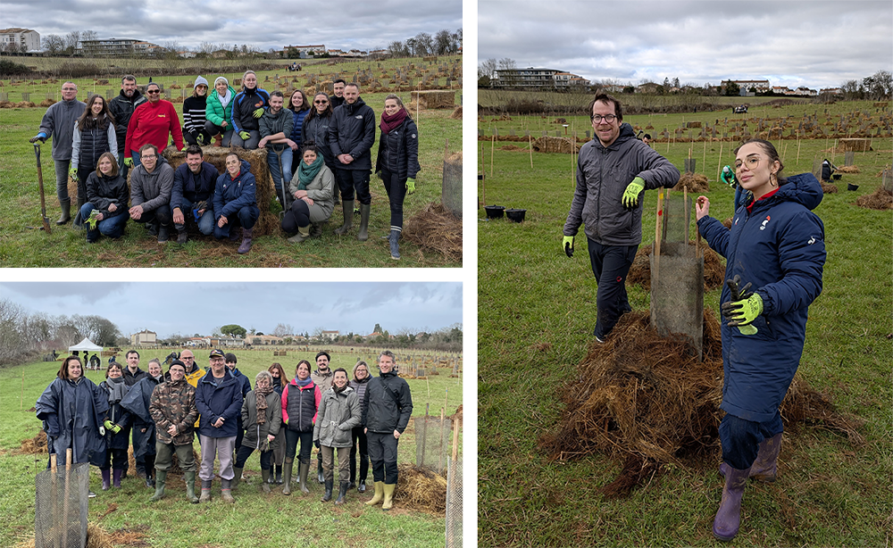 Les équipes réunies à la Vallée Guyot à Niort en compagnie de la judokate Pauline Cuq Deux équipes Cheminées Poujoulat sur la parcelle de plantations d'arbres à la Vallée Guyot à Niort